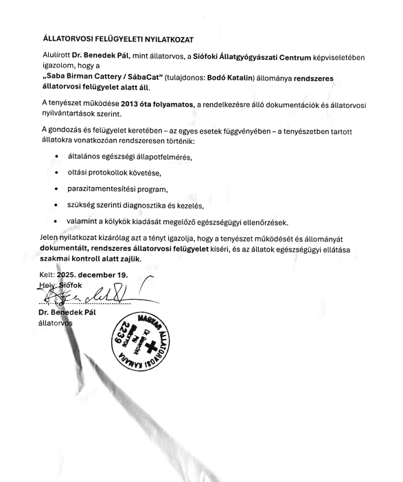 Állatorvosi felügyeleti nyilatkozat – Saba Birman tenyészet