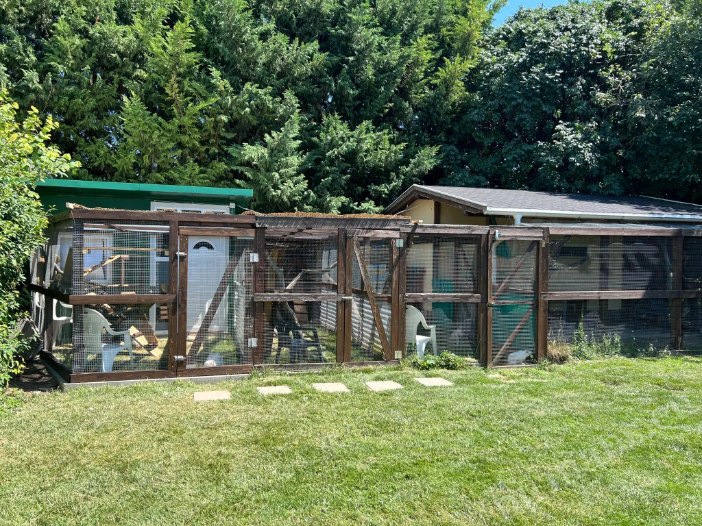 nagy kifuto nyári kép bal opldalon a zöld szendvicspanel házzal