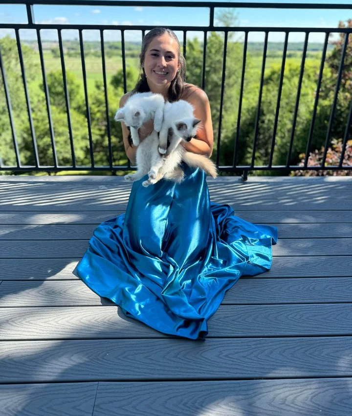 Saba Samuel és Saba Seila – Saba Birman Burmai Szent Templommacska kölykök Kanadába érkezés után 2021