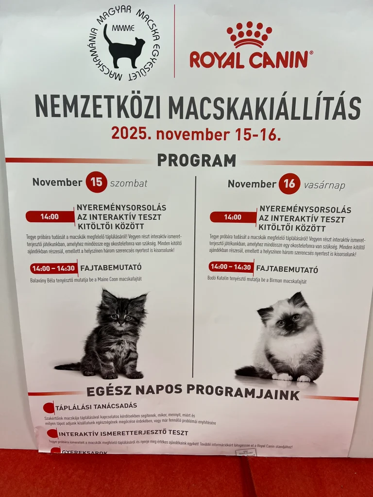 Royal Canin hivatalos meghívó Saba Birman fajtabemutatóra – Budapest 2025