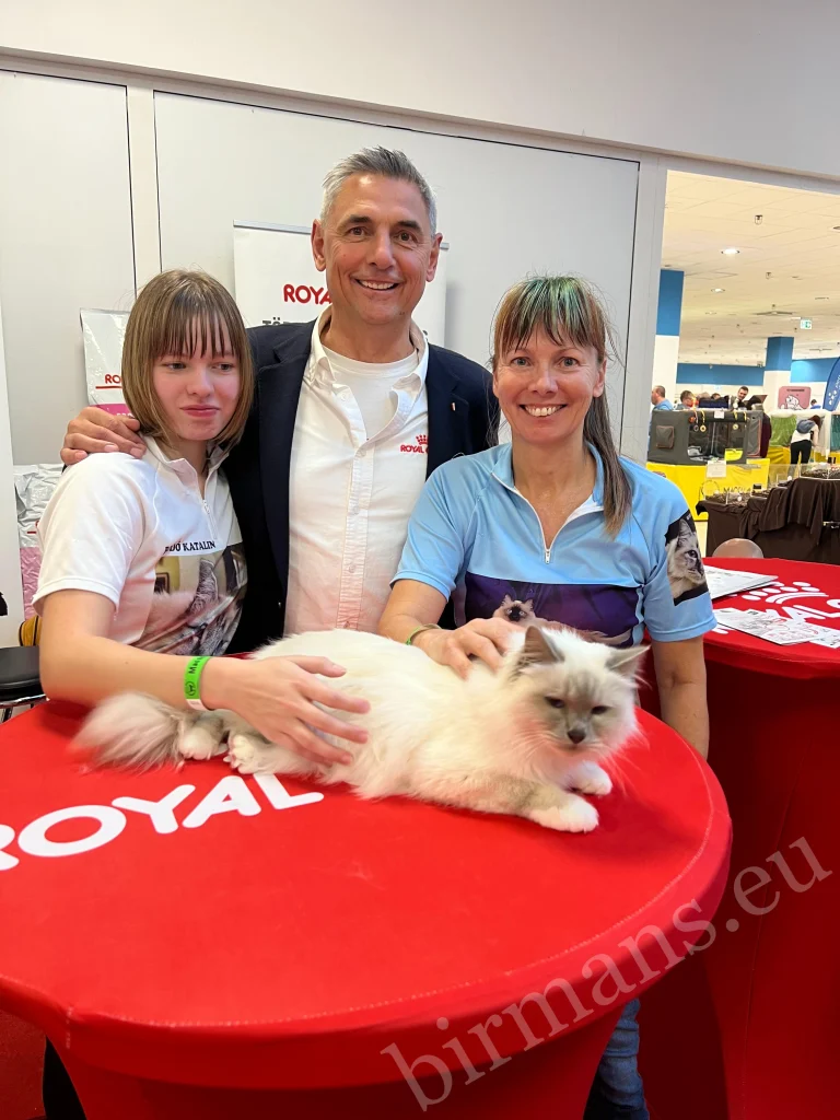 Royal Canin Podium Birman fajtabemutató, Budapest 2025, Saba Birman