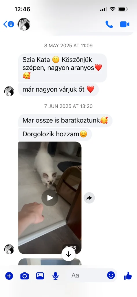 Saba Gigi gazdájának írásos visszajelzése Magyarországról – valós vevői vélemény és tapasztalat