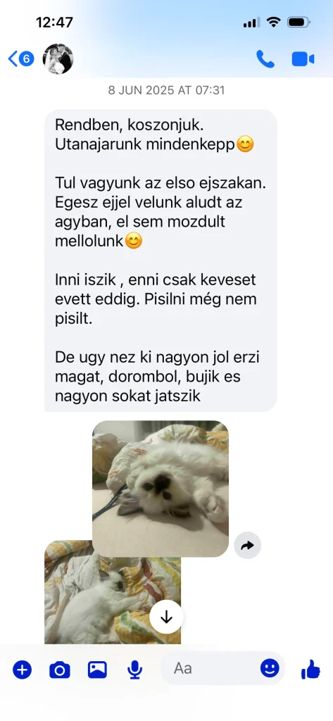 Saba Gigi gazdájának írásos visszajelzése fotókkal – valós vevői tapasztalat Magyarországon