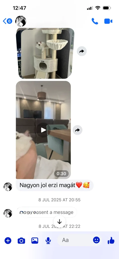 Saba Gigi gazdájának idézettel ellátott visszajelzése – valós vevői tapasztalat és otthoni képek