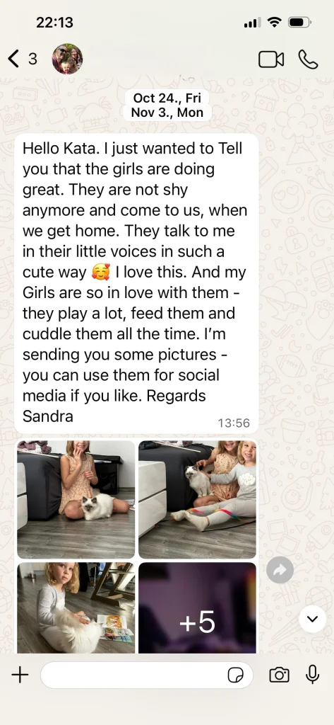 Saba Nova és Saba Noelle gazdájának visszajelzése képekkel Ausztriából – valós vevői tapasztalat