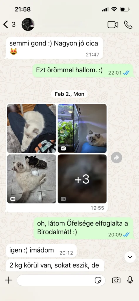 Saba Serenity gazdájának visszajelzése képekkel és idézettel Ausztriából – valós vevői tapasztalat