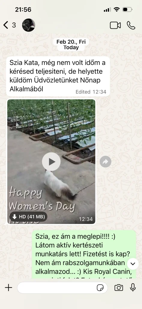 Saba Serenity gazdájának visszajelzése videóval és képekkel Ausztriából – valós vevői tapasztalat