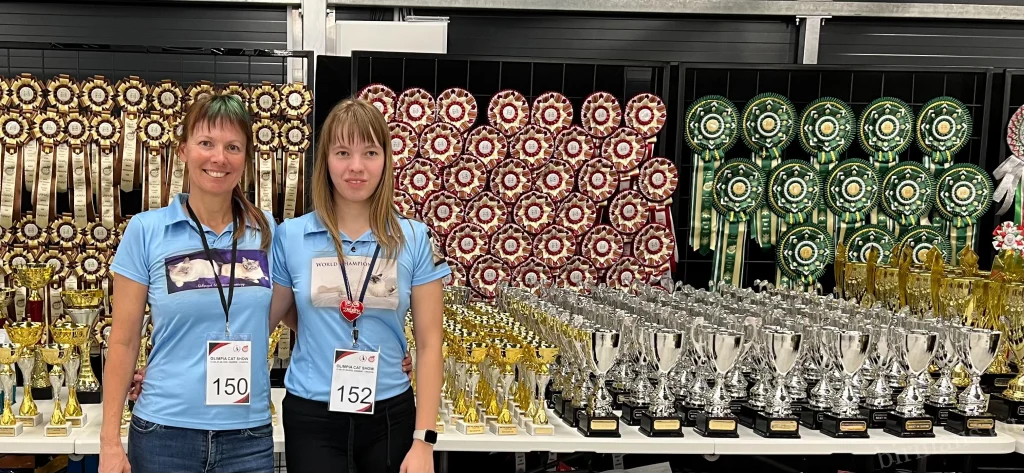 Saba Birman kiállítási felkészülés – Anna és tenyésztő versenyhangulatban, nemzetközi macskakiállítás