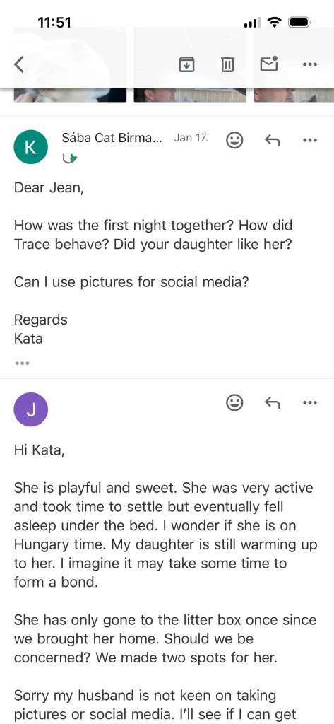 Saba Tracie gazdájának idézettel ellátott visszajelzése az USA-ból – valós vevői tapasztalat