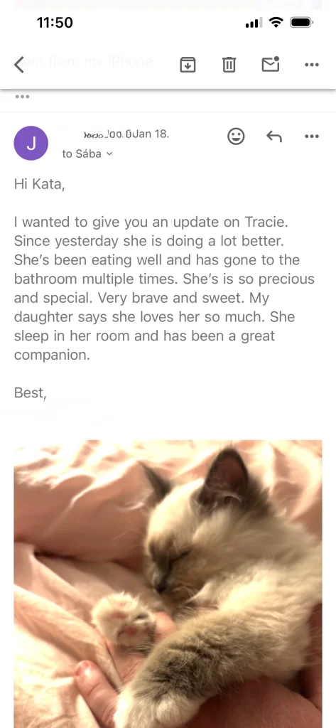 Saba Tracie gazdájának visszajelzése képpel az USA-ból – valós vevői tapasztalat