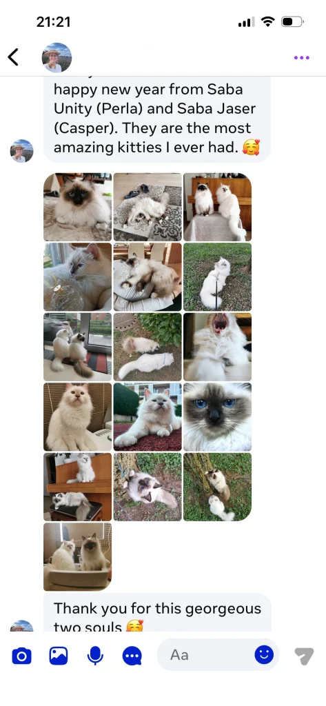 Saba Unity (Perla) és Saba Jasper (Gasper) gazdájának visszajelzése szöveggel és több képpel Szlovéniából – valós vevői tapasztalat