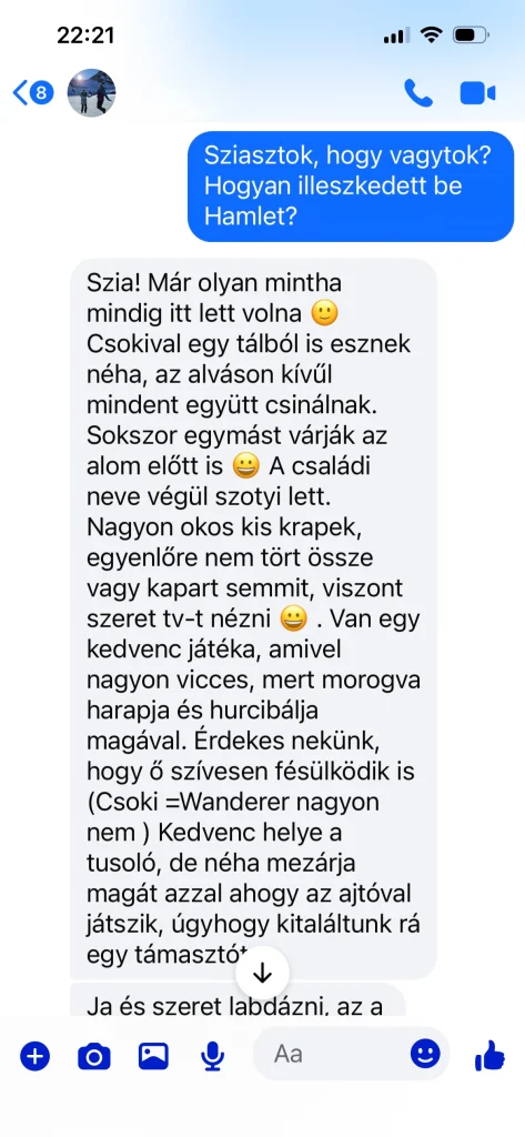 Saba Wanderer és Saba Hamlet gazdájának írásos visszajelzése Svájcból – valós vevői tapasztalat