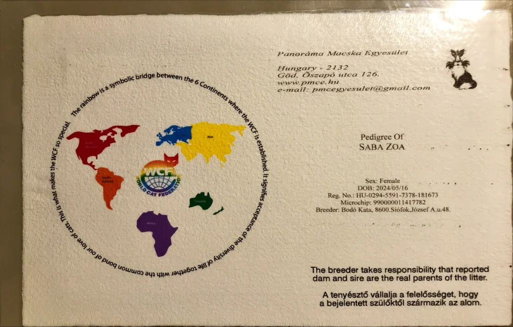 ICH Saba Zoa WCF törzskönyv első oldal – burmai szent templommacska hivatalos dokumentum