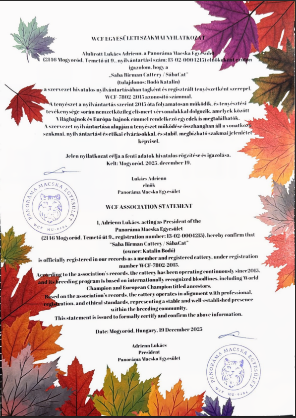 WCF tagsági igazolás – folyamatos tagság 2015 óta, világbajnok vérvonalakkal